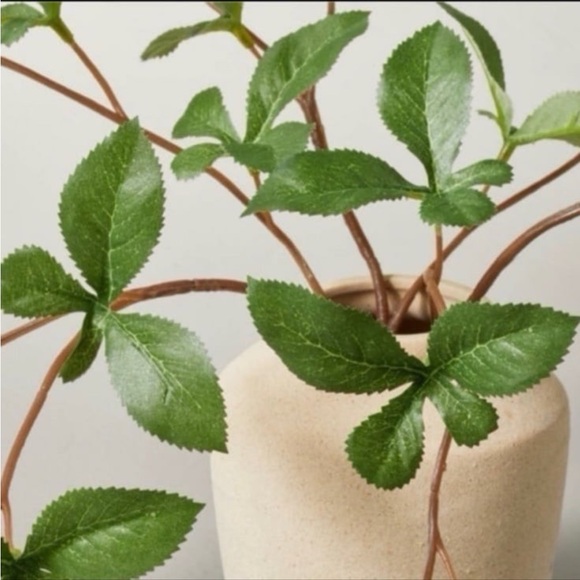 Hearth & Hand Magnolia 11” Faux Gypsophila Leaf Arrangement - Picture 3 of 10